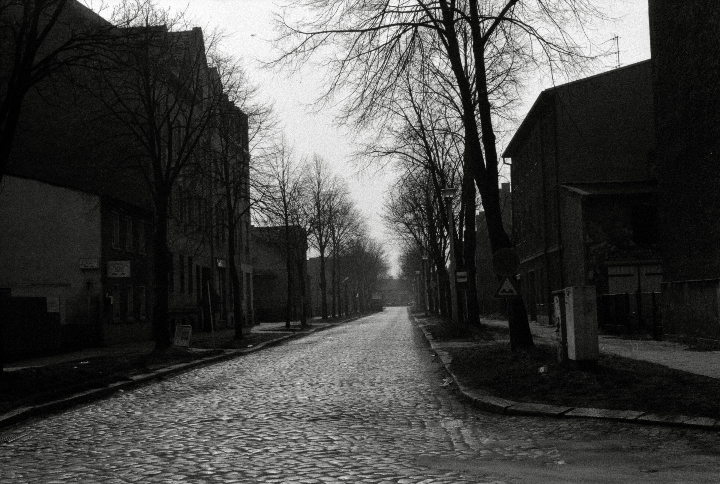 AHP F1993 03 004 sc240902 img23 NLP